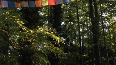 Gebetsfahnen im Wald — Achtsamkeit