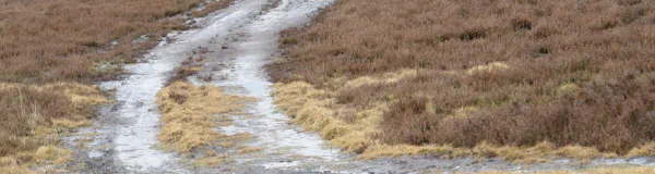 Weg durch die Heide — Aufstehen und Mut