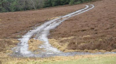 Weg durch die Heide — Aufstehen und Mut