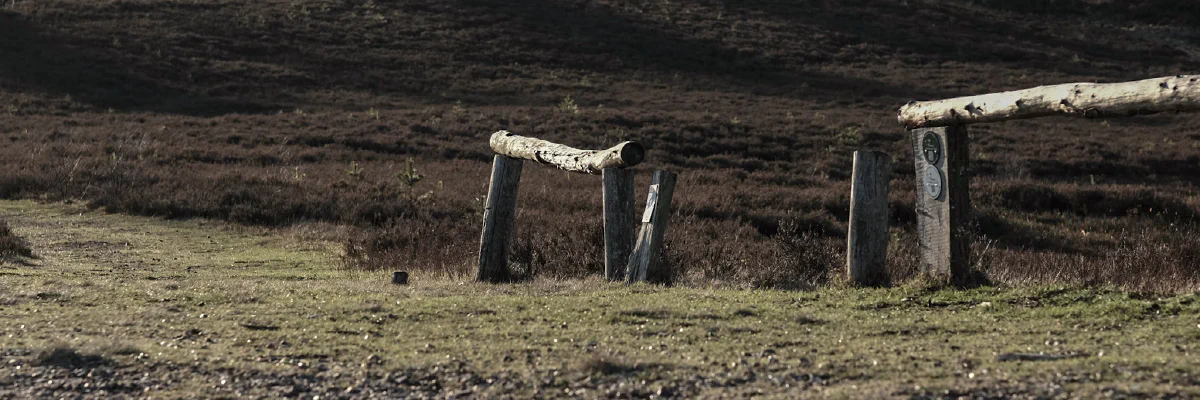 Heidelandschaft mit Holzzaun — Begegnung und Dialog