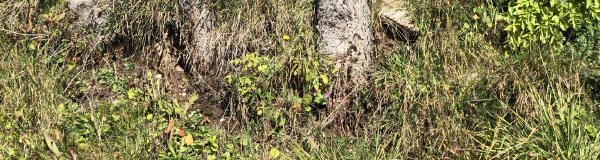 Herzen auf Steinen in der Natur — Verbindung