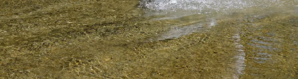 Mountainbiken durch einen Bach — Bewegung für Demokratie