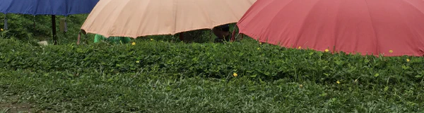 Bunte Schirme — Positivität und Stärken